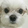 Profile picture of Somora