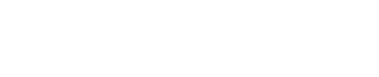 Logo-white